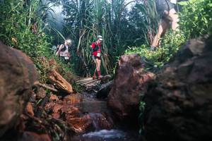 BIB: 
                            <button type="button" onclick="openModal(26419660)" class="btn btn-primary btn-sm float-right btn-popup" data-toggle="modal" data-target=".modal-high-quality">
                        <i class="fas fa-shopping-cart"></i> Add to Cart
                    </button>
                                            <button type="button" onclick="isThisMe(26419660, true)" class="btn btn-success btn-sm float-right btn-popup btn-isme hidden" data-toggle="tooltip" data-placement="bottom" title="นี่คือรูปของคุณใช่ไหม คลิกที่นี่เพื่อเอาเข้าอัลบั้ม">
                        <i class="fas fa-plus"></i> Add to album
                    </button>
                    <button type="button" onclick="isThisMe(26419660, false)" class="btn btn-warning btn-sm float-right btn-popup btn-isnotme hidden">
                        <i class="fas fa-ban"></i> Remove from album
                    </button>